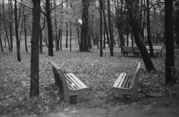 Осень в старом парке / Скан плёнки 1999 года