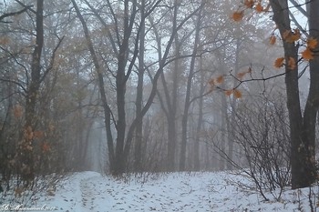 ...и наступила Зима... / ...