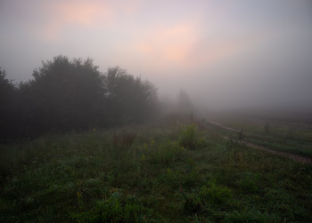Туман на рассвете / Пейзаж Беларуси