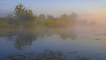 Утро, лето, озеро Омут. / Летние туманы.