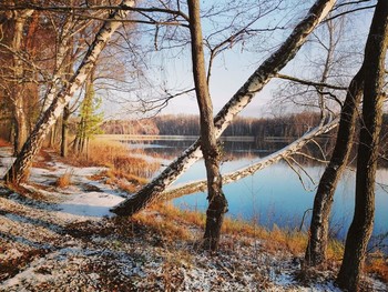 Зима, начало / Озеро зима деревья