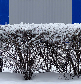 Зима, начало / Зима, начало