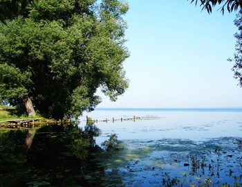 Воспоминание о лете / Плещеево озеро