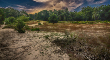 &nbsp; / На опушке