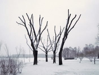 ЧёрноБелаяВесна / Колпино, СПб