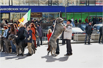 На Новом Арбате / Покажем кто выше....