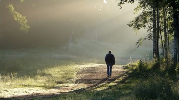 По дороге....... / Петербург. Парголово. Июнь