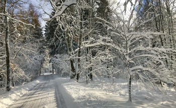 Когда ушел туман / А еще утром казалось, что солнце не будет никогда.. :)