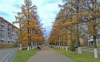 Осень в городе. / &quot; &quot; &quot;