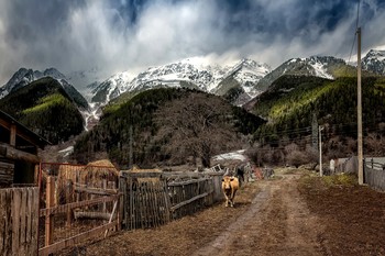 На мой взгляд / Архыз.