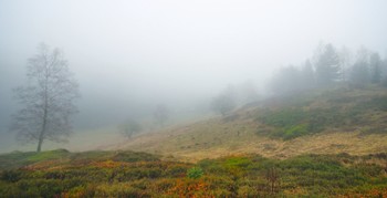 А в долине туман.. / Заповедник