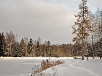 по тропинкам парка / Гатчина