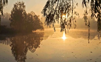 утро / Осень.Раннее утро.Солнце встает...