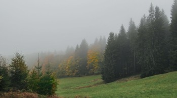 Осень, уходящая в туман / Золотистая пора на склонах