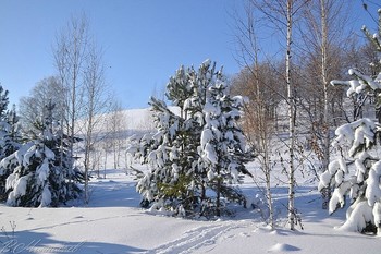 Зимнее настроение / ...