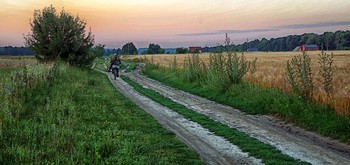 дорога в утро / утро.дорога.