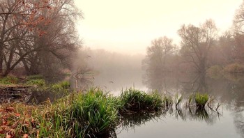Сквозь туманную пелену / Сквозь туманную пелену