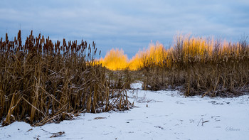 День начинается. / На рассвете солнечные лучи осветили деревья.