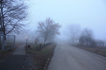 Уходящие в туман... / Улица, дорожка в парке, силуэты уходящих