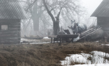 Туманное утро в деревне / Белорусская глубинка