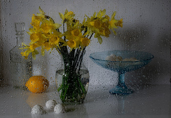 Майские дожди / Съёмка через мокрое стекло