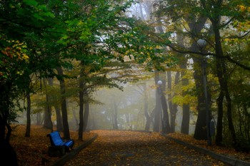 В аллее осенней..... / Железноводск. Октябрь