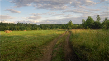 Вечер в поле / Кемерово, Западная Сибирь