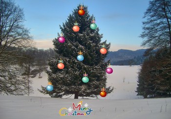 / Frohe Weihnachten wünsche ich Euch allen.