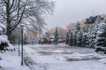Когда зима приходит... / Парк имени 28 гвардейцев-панфиловцев. г. Алматы.