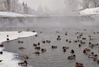 В незамёрзшей воде на реке / В незамёрзшей воде на реке Орлик