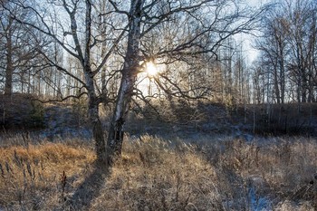 &nbsp; / окрестности п.Урняк,Татарстан