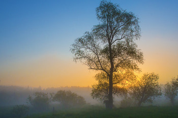 &nbsp; / Утро в июне 5.33