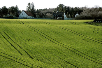 &nbsp; / Природа и животные