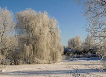 Козелець, Карачня... / 06.01.2009.