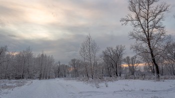 Январский вечер нового года. / Красноярск, остров Татышев, вечер.