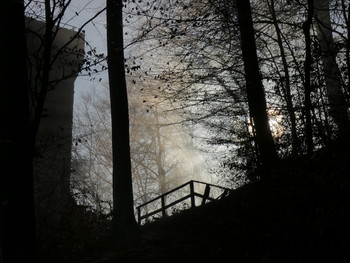 &nbsp; / wenn im Tal der Weser der Frühnebel liegt, wird es Zeit auf den Berg zu gehen, dort siegt grade die Sonne über den Nebel