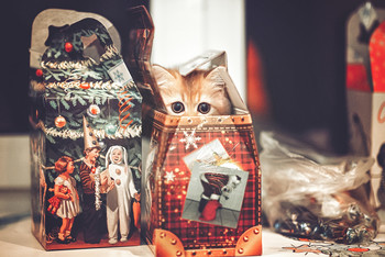Найди кота..) / ...