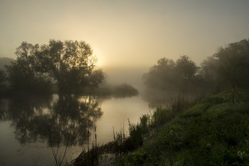 Утро / туман,река,рассвет