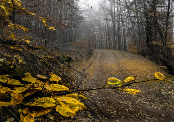 Шлагбаум / Крым