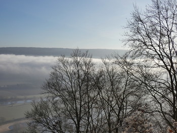  / die Sonne löst den Frühnebel langsam auf