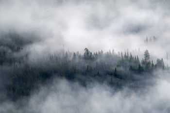 &nbsp; / View over a mist woodland photographed during a descent from a nearby mountain