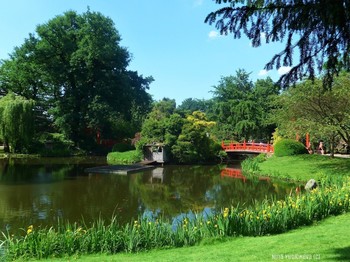 Tierpark Hagenbeck Hamburg / Зоопарк Хагенбека в Гамбурге: http://fotokto.ru/blogs/tierpark-hagenbeck-hamburg-33199.html Альбом «Пейзаж»: http://fotokto.ru/id156888/photo?album=76852
Из Википедии:
"Зоопарк Хагенбека (нем. Tierpark Hagenbeck) — зоопарк, расположенный в немецком городе Гамбурге. Он был открыт 7 мая 1907 года и стал первым в мире зоопарком, в котором для животных были воссозданы природные условия их обитания — деревья, водоёмы, скалы.
Основатель зоопарка Карл Хагенбек был учёным, коммерсантом и дрессировщиком. У него был свой цирк и он занимался торговлей дикими животными. В настоящее время зоопарк находится в частной собственности и принадлежит семье Хагенбек. Площадь зоопарка составляет 25 га. Он представляет собой сеть из троп и дорожек протяженностью около 7 км, прогуливаясь по которым можно увидеть 210 видов животных. У главного входа в зоопарк расположен тропический аквариум с 290 видами животных и пресмыкающихся.
Слайд-шоу о зоопарке: https://www.youtube.com/watch?v=Ms1GfBntMoE