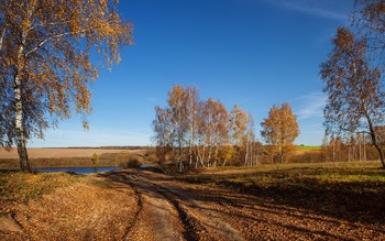Осенняя пора / ***