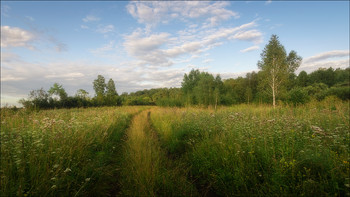 В лесу / Кемерово, Западная Сибирь