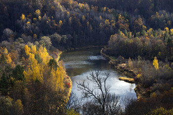 Петля гистерезиса / Балтика