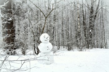 Снеговик искал жилище... / Снеговик искал жилище,
Чтоб гуляли в нём ветрища,
Чтоб мороз стоял, и кроме
Снег всегда летал бы в доме.
И в гостиной были чтобы
Белоснежные сугробы,
И висели бы при этом
Дед Мороза три портрета,
Шкаф стоял, а в нём две полки
Для ведра и для метёлки.


Елена Степанова