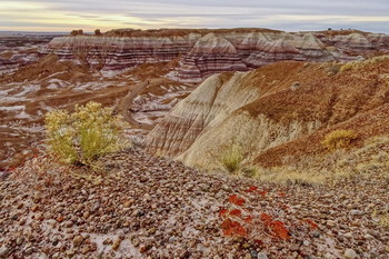 &nbsp; / Petrified Forest National Park, Arizona, USA