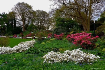 Planten un Blomen Hamburg / Весна в парке цветов
Альбом «Гамбург. Парки": http://fotokto.ru/id156888/photo?album=75053# Альбом «Пейзаж»: http://fotokto.ru/id156888/photo?album=76852
Слайд-шоу "Парк цветов летом"
https://www.youtube.com/watch?v=glVWjqRqZr0
Слайд-шоу "Парк цветов весной"
https://www.youtube.com/watch?v=kJVKlWcQxCg
Слайд-шоу "Парк цветов осенью"
https://www.youtube.com/watch?v=_Q7gRXGUa5A