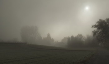 Противостояние... / Солнце и сильнейший плотный туман. Пейзаж.