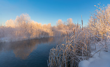 Краски зимнего утра / Уральская зима